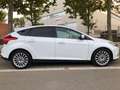 Ford Focus Focus 1.6TDCi Titanium 115 Titanium Blanco - thumbnail 1