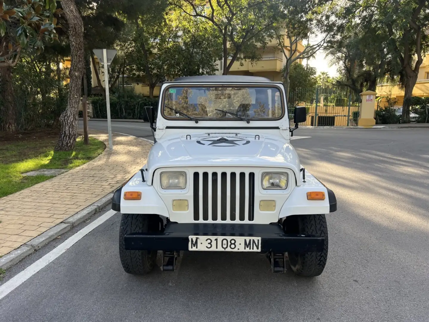 Jeep Wrangler YJ Alb - 2