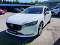 Mazda 6 Mazda 6 SPC Attraction Weiß - thumbnail 1