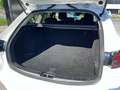 Mazda 6 Mazda 6 SPC Attraction Weiß - thumbnail 8