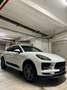 Porsche Macan Macan 2.0 245cv pdk | Tetto - Pasm - Full Optional Bianco - thumbnail 1