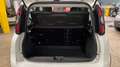Fiat Panda Cross 1.3 Multijet 16v 95cv 4x4 S&S Bianco - thumbnail 14