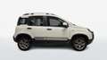 Fiat Panda Cross 1.3 Multijet 16v 95cv 4x4 S&S Bianco - thumbnail 4