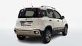 Fiat Panda Cross 1.3 Multijet 16v 95cv 4x4 S&S Bianco - thumbnail 2
