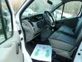 Opel Vivaro CAJA FRIGORIFICA,FRIO DE CONGELACION CARRIE Blanco - thumbnail 8
