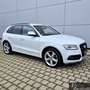 Audi SQ5 3.0 TDI quattro AHK*B&O*Leder*20Zoll*Keyless Alb - thumbnail 4