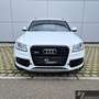 Audi SQ5 3.0 TDI quattro AHK*B&O*Leder*20Zoll*Keyless Alb - thumbnail 2
