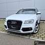 Audi SQ5 3.0 TDI quattro AHK*B&O*Leder*20Zoll*Keyless Alb - thumbnail 1