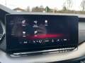 Skoda Octavia 4x4 RS TDI DSG Blau - thumbnail 14