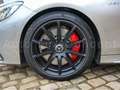 Mercedes-Benz S 63 AMG 4MATIC Cabriolet \Edition 130\ - 1 of 130 Zilver - thumbnail 27