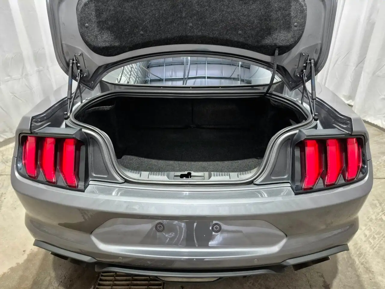 Ford Mustang снимка Ford Mustang