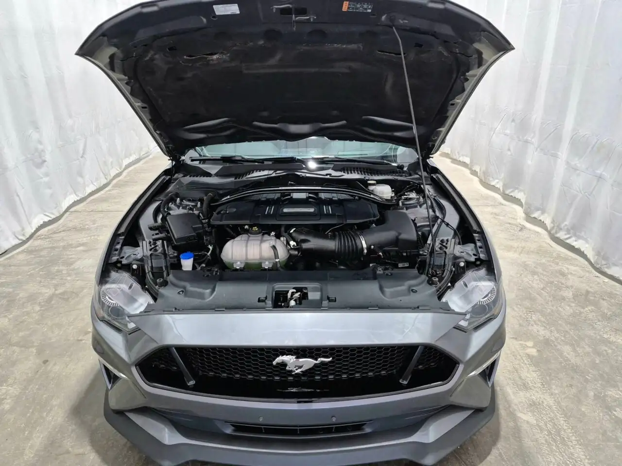 Ford Mustang снимка Ford Mustang