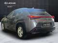 Lexus UX 250h UX 250h 2.0 Business 2wd cvt my20 - thumbnail 5