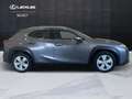 Lexus UX 250h UX 250h 2.0 Business 2wd cvt my20 - thumbnail 4