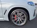 BMW X3 xDrive30d AT M Sportpaket Innovationsp.Head U Grau - thumbnail 11