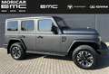 EMC 212 2.0 TDI 8AT 4WD EDITION OFFROAD Grau - thumbnail 8