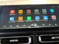 EMC 212 2.0 TDI 8AT 4WD EDITION OFFROAD Grau - thumbnail 31