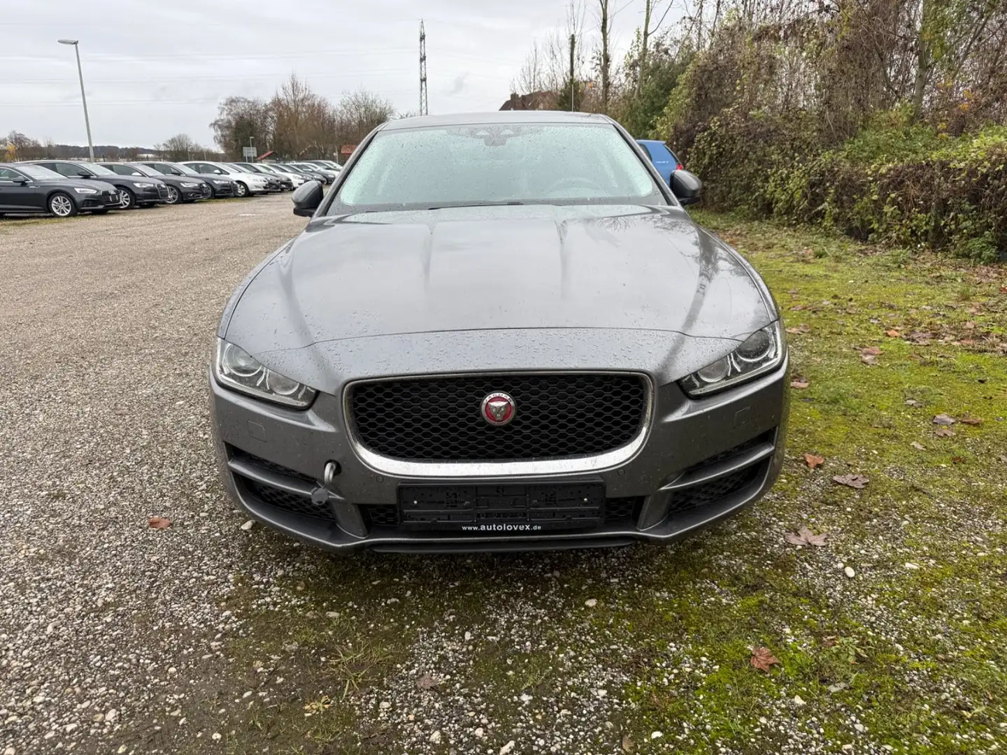 Jaguar XE 2.0 Prestige I Leder I EU6 I 111 Co2 Grau - 2