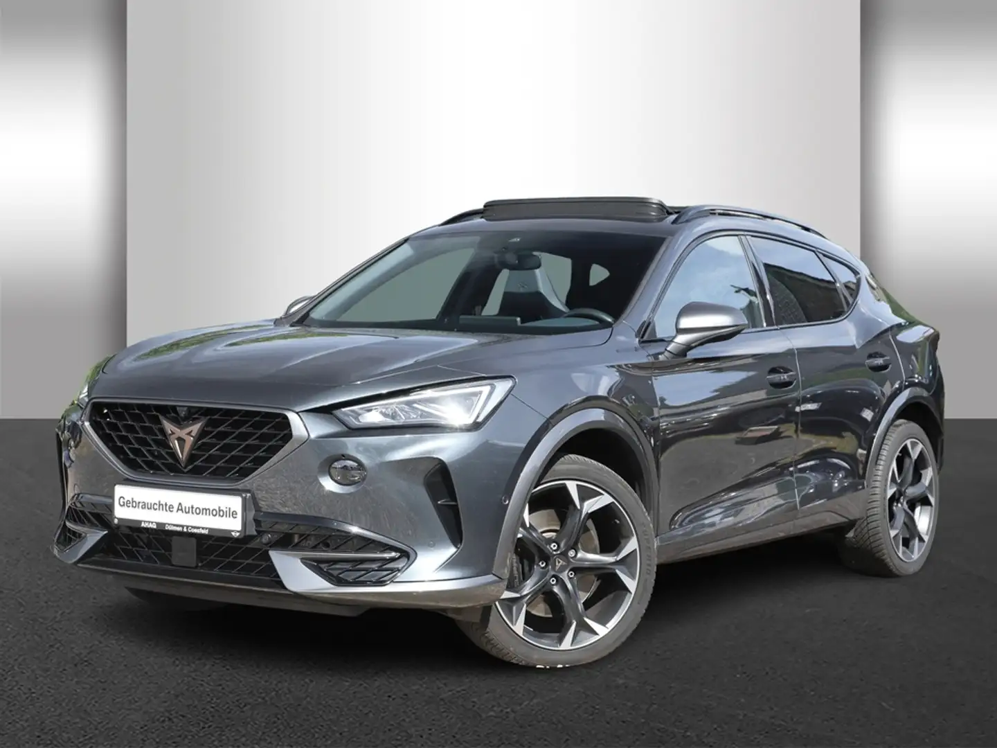 CUPRA Formentor 2.0 TSI 228kW VZ 4Drive DSG Navi DSG Gris - 2