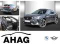CUPRA Formentor 2.0 TSI 228kW VZ 4Drive DSG Navi DSG Grau - thumbnail 1