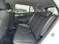Kia Sportage 1,6 TGDI Titan Weiß - thumbnail 12