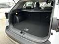 Kia Sportage 1,6 TGDI Titan Weiß - thumbnail 13