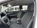 Kia Sportage 1,6 TGDI Titan Weiß - thumbnail 6