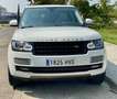 Land Rover Range Rover 4.4SDV8 Vogue Aut. Blanco - thumbnail 6