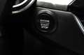 Ford Kuga Titanium 4x4 RFKMRA+HUD+WINTERPAKET+4xSITZH Gris - thumbnail 26