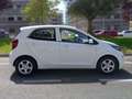 Kia Picanto 1.0 DPi Concept Blanc - thumbnail 4