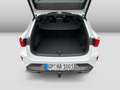 CUPRA Leon Sportstourer 2.0TSI DSG 4Drive 204PS AHK Ma Weiß - thumbnail 12