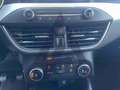 Ford Focus Focus Active SW 1.0 ecoboost s Bianco - thumbnail 18