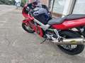 Honda VTR 1000 Rood - thumbnail 6