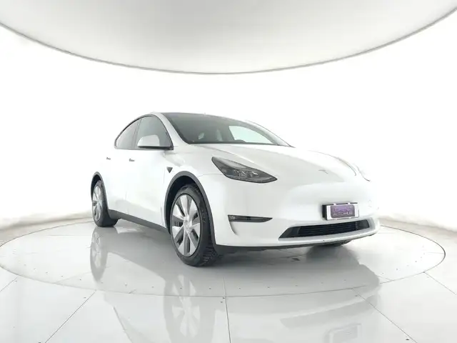 Tesla Model Y Long Range Dual Motor awd AUTOPILOT+CAMERA+C19"