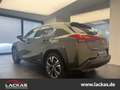 Lexus UX 250h LUXURY*MATRIX-LED*360*NAVI*15JH-GARANTIE* Grün - thumbnail 3