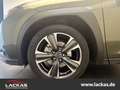 Lexus UX 250h LUXURY*MATRIX-LED*360*NAVI*15JH-GARANTIE* Grün - thumbnail 7