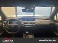 Lexus UX 250h LUXURY*MATRIX-LED*360*NAVI*15JH-GARANTIE* Grün - thumbnail 11