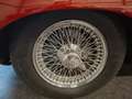 Jaguar E-Type SERIES 1 4.2 LITRE 2+2 Rot - thumbnail 21
