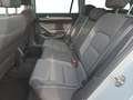 Volkswagen Passat Variant Business 2.0 TDI, KAM/AHK/LED/LAN Blanco - thumbnail 10