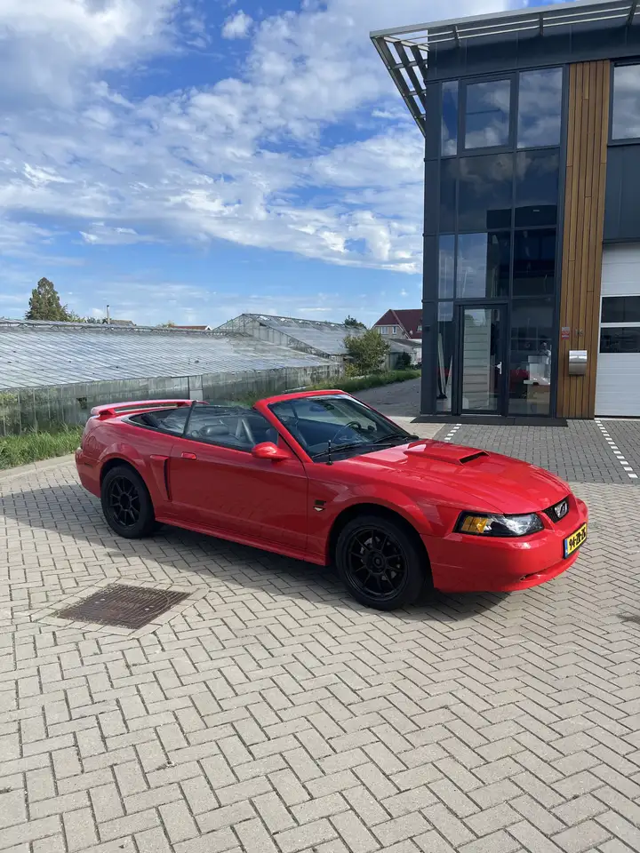 Ford Mustang GT 4.6 V8 Convertible, foto 12