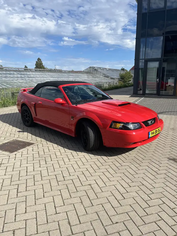 Ford Mustang GT 4.6 V8 Convertible, foto 9