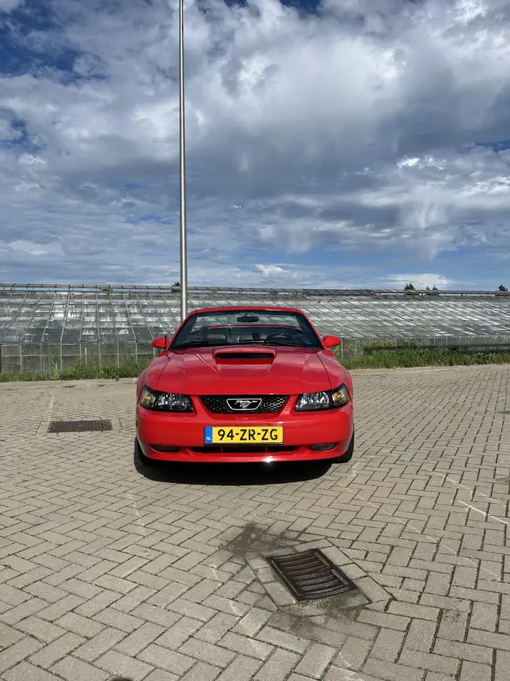 Ford Mustang GT 4.6 V8 Convertible, foto 10
