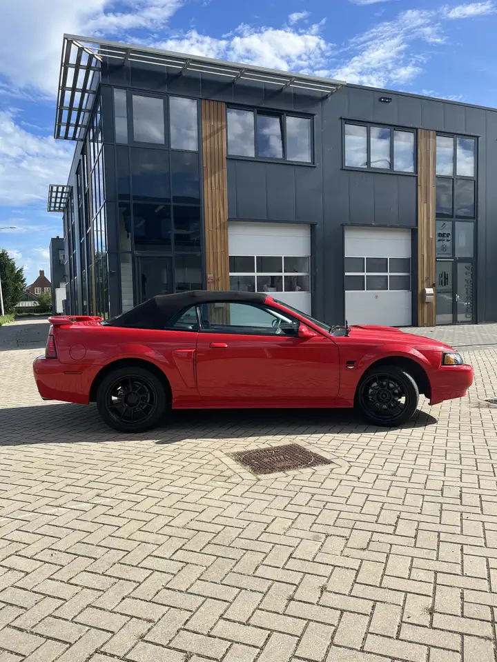 Ford Mustang GT 4.6 V8 Convertible, foto 8
