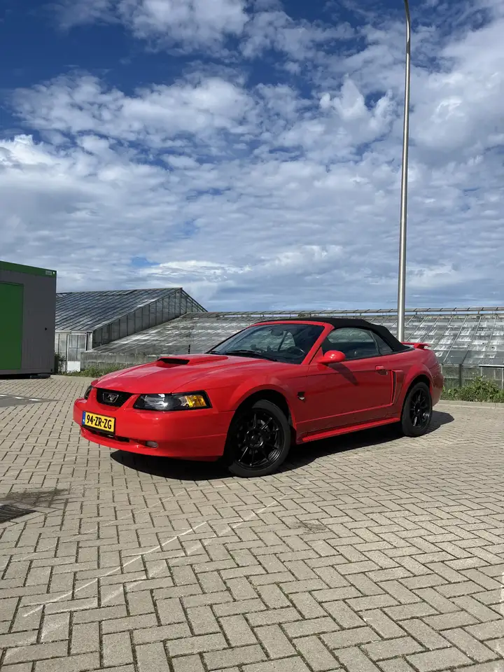 Ford Mustang GT 4.6 V8 Convertible, foto 2