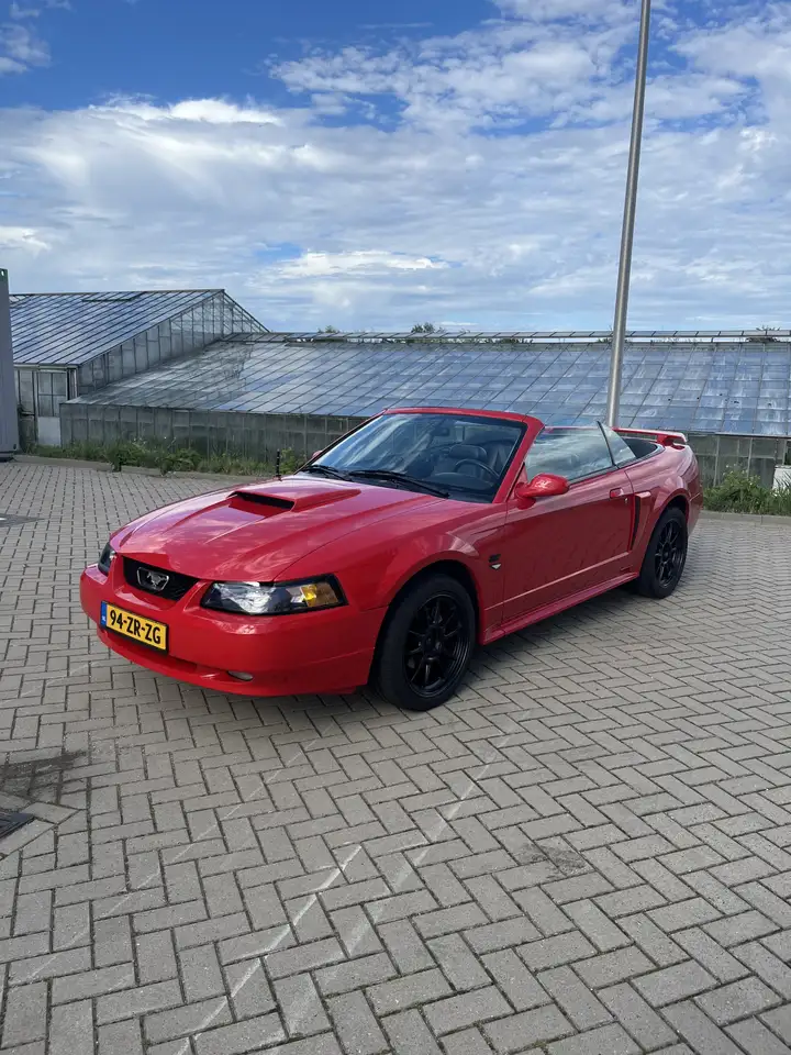 Ford Mustang GT 4.6 V8 Convertible, foto 11