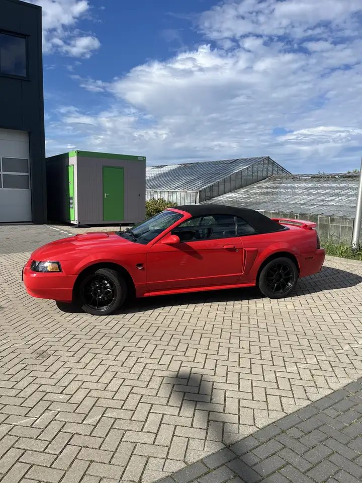 Ford Mustang GT 4.6 V8 Convertible, foto 3