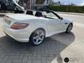 Mercedes-Benz SLK 300 Sport Navi PDC Pano AUT FLA LM SHZ Білий - thumbnail 14