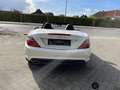 Mercedes-Benz SLK 300 Sport Navi PDC Pano AUT FLA LM SHZ Білий - thumbnail 5