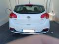 Kia Ceed / cee'd Cee´d 1.4CRDi Maracaná Maracaná Blanco - thumbnail 3