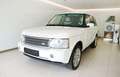 Land Rover Range Rover 3.6 V8 Diesel Blanc - thumbnail 1
